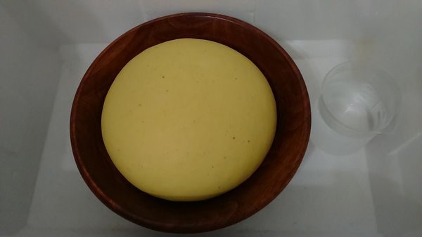 放進保麗龍箱醱酵致兩倍大
箱內放一杯常溫的水並噴霧