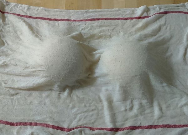 蓋上濕棉巾醒麵約20分鐘