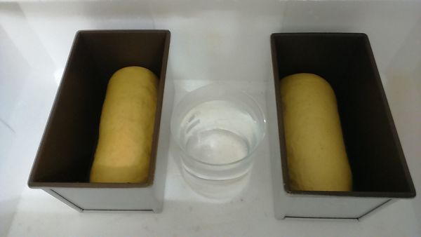 放進450g的吐司模
再放入保麗龍箱醱酵
並放入一杯熱水