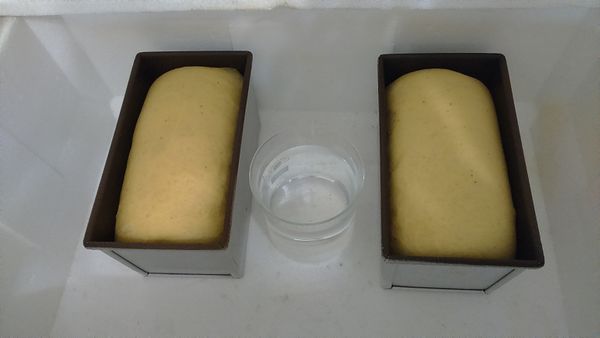 這麼高就可以預熱烤箱了