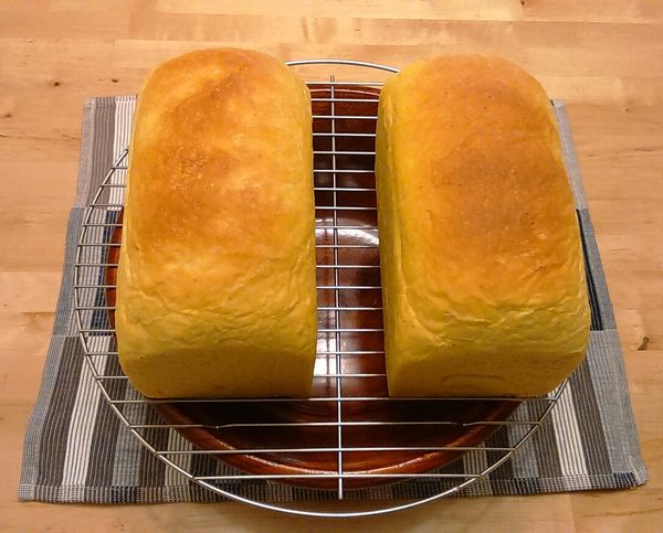 果然黃澄澄的發亮