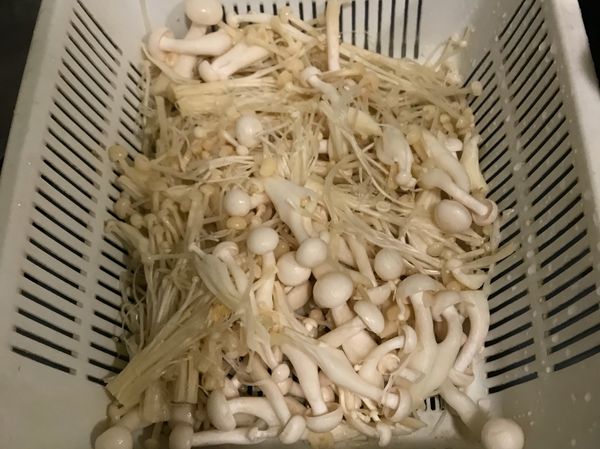 2️⃣將好菇道（雪白菇）及金針菇洗淨