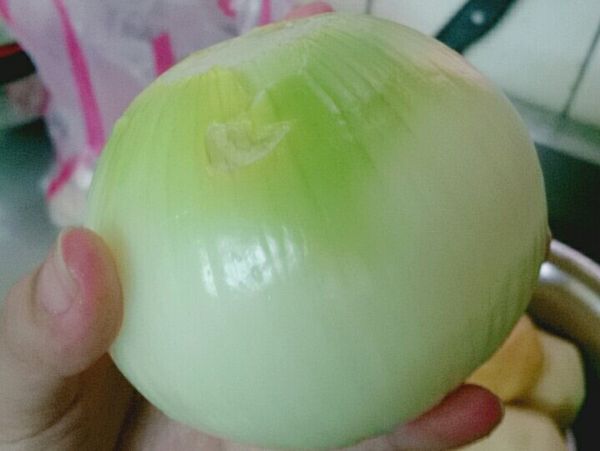 接下來開始開火預熱加入油
貼心叮嚀：鍋鏟不要有水不然會滋滋廚房！
放入你切好的洋蔥下去炒香
你就會看見變成金黃洋蔥
然後丟入難熟的胡蘿蔔下去炒
在灑一些我自己超愛的咖哩粉
增添香氣
之後你在放入醃過看起來好吃的豬里肌
一起炒啊炒啊炒
在來就是放狗（？
哦！不是放水啦（不要傷害動物！
就等待火幫你煮滾