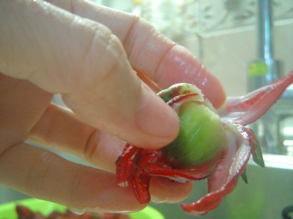 2.再從花瓣到蒂頭處剪一刀(注意不要剪到籽)，即可將花瓣扳開,輕易取出籽