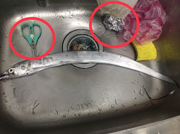 處理白帶魚前 首先準備剪刀跟鋁箔紙
⚠️鋁箔紙霧面朝上 揉成一團