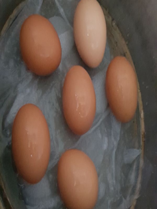 水煮蛋

大同電鍋放衛生紙沾濕
放上雞蛋
按下電鍋跳起即可