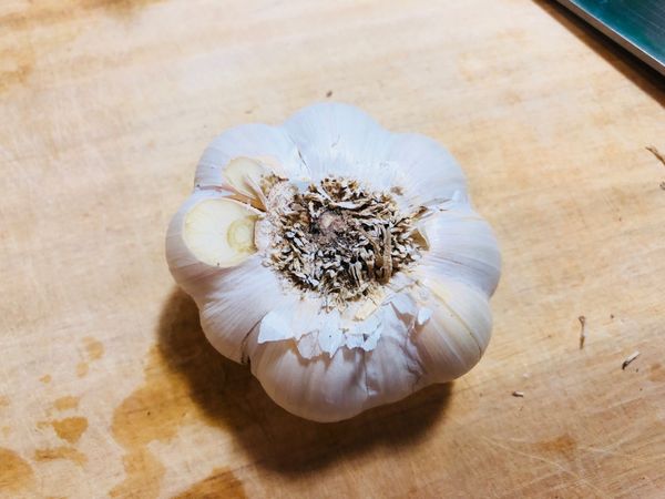 蒜頭根稍微切除
