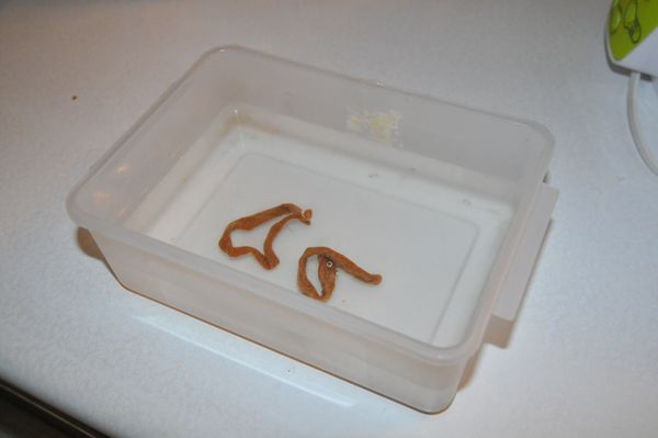 把要用的鹹菜脯泡一下水，才不會太鹹。