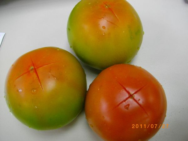 步驟1 把所有蕃茄洗淨並在的屁屁輕輕劃十字，等一下好剝皮