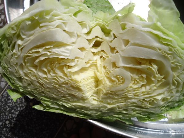 高麗菜切半後，去除中間的硬蕊。