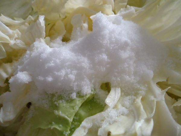 從上面灑上鹽巴150g。