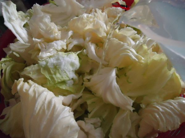 倒入蒸餾水1000cc,然後每一小時上下翻動，讓所有高麗菜都能泡到鹽水均勻殺菁。 (夏天約3-4小時，冬天約5-6小時)