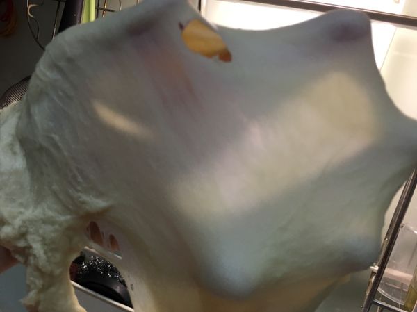 出筋後再加入奶油繼續攪打直到打出薄膜