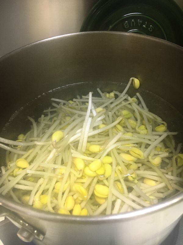 2. 大豆芽洗淨，摘去尾部；用小煲放入清水煮滾，放入大豆芽煮約5分鐘至熟，盛起，瀝乾水份，備用。