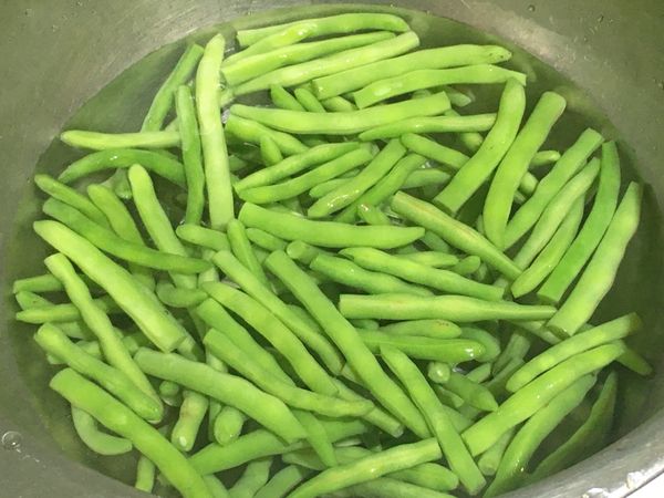 起一湯鍋煮一鍋水煮沸，將四季豆煮熟軟約4-5分鐘，撈起泡冷開水備用。