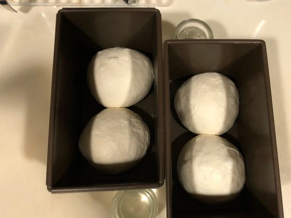 放入吐司模中。