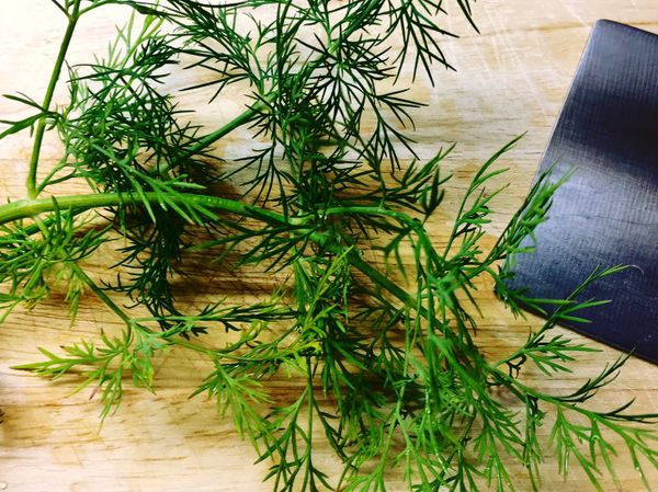 再以新鮮蒔蘿做最後裝飾