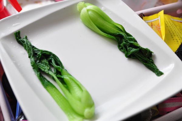 另外將清江菜滾水川燙後撈起擺置兩邊待涼