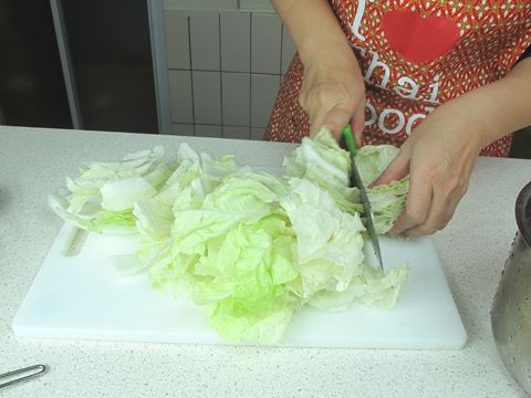 白菜洗淨切段,紅蘿蔔切絲,豆皮切段。