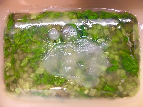 再將菠菜凍放入原色肉凍上
淋入保留的肉凍液即可
再入冰箱冰鎮即可
（菠菜凍放入前先淋一些原色肉凍液後再擺放菠菜凍較能接合）