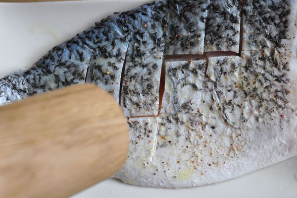 將魚片塗抹橄欖油後，將香料鹽撒在鱸魚片上。