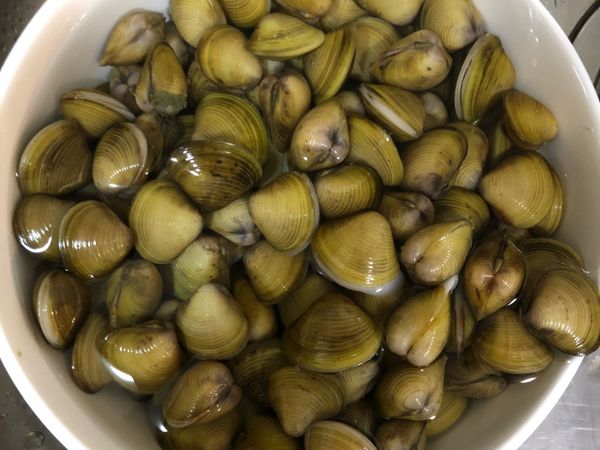 清水不需加鹽泡20分鐘左右讓沙吐的更乾淨