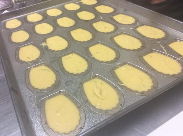 裝入平口的擠花袋，擠入模型九分滿。