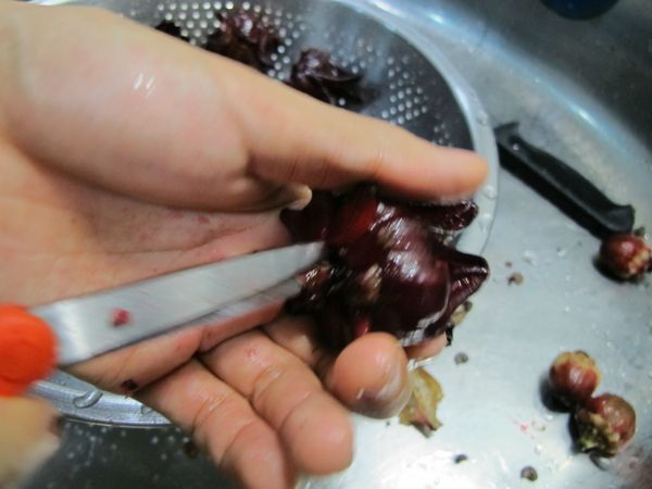 步驟2.將根處的周圍剪出一個洞，再用剪刀往前戳，籽很簡單的就會從前方被擠出來囉。