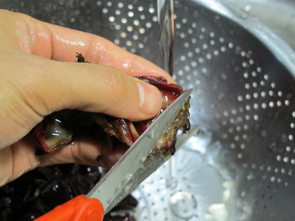 步驟4.將變色或是不好的部位修剪。