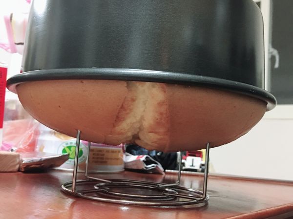 蛋糕出爐後，立馬把蛋糕由上而下敲打將氣敲出後，立刻將蛋糕倒扣並放涼