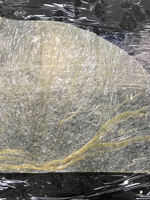 半圓皮對折在切開
形成1/4圓