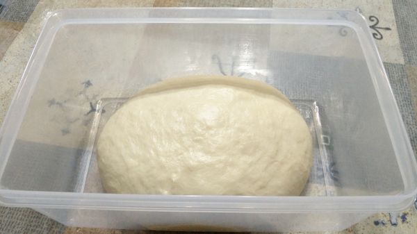 基發：低溫發酵12小時以上。
打好的麵團，放保鮮盒，包一層保鮮膜，再蓋好蓋子，放冰箱冷藏，做第一次的發酵。