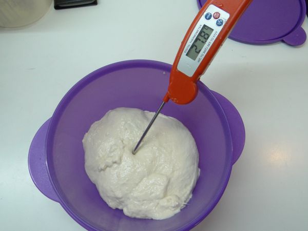 吳克己老師的[法國老麵]：麵粉+水+麥芽精，慢速攪拌3分鐘，靜置15-30分鐘讓麵糰自我分解，添加鹽，慢速攪2分鐘，添加酵母，慢速攪拌5分鐘，轉中速攪拌2分鐘，攪拌至9分筋，表面光滑
起缸溫度24度(我的終溫太高一些)，室溫發酵30分鐘，翻面排氣，冷藏12小時 ，冷藏可放置2-3天使用