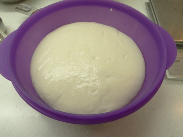 [法國老麵]冷藏一夜後