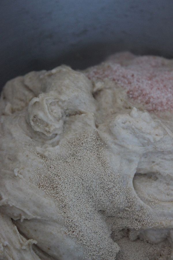 此時,加入速酵以及鹽,攪拌均勻,(我用攪拌機操作),拌至麵團呈現極為光滑狀態