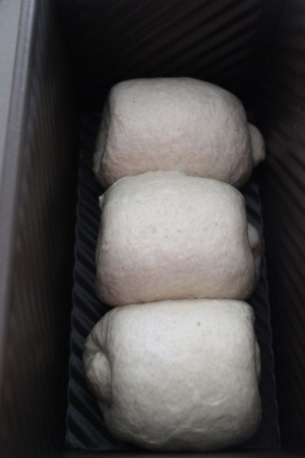 翻面再捲起(光滑面朝外),其他麵團也依序完成,入模33度發酵