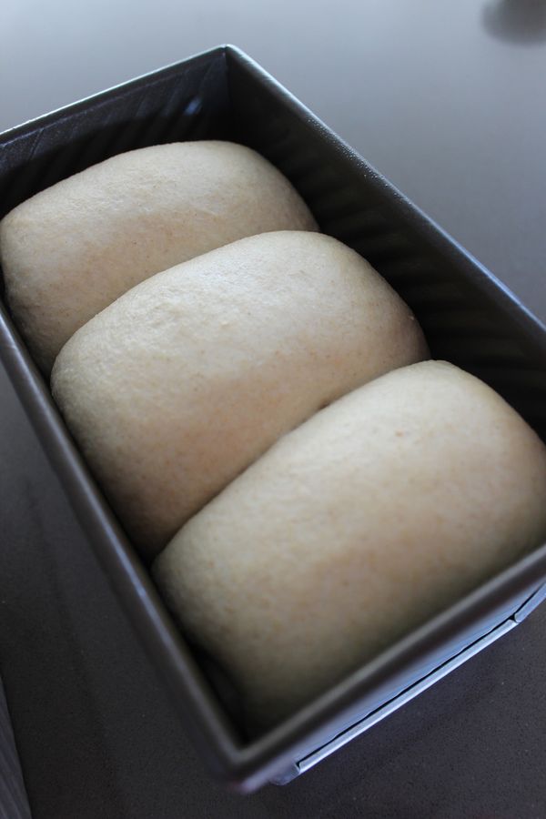 在模8分滿時入爐,烤箱200度,中下層,30分鐘