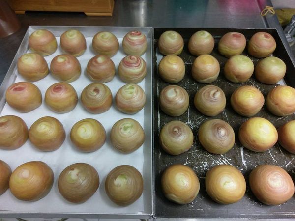 所有程序完成後，放入烤箱烘烤（190/180烤30分鐘）即可