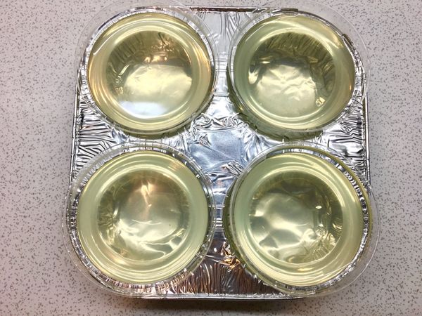 倒入容器後
入冰箱冰鎮待結凍