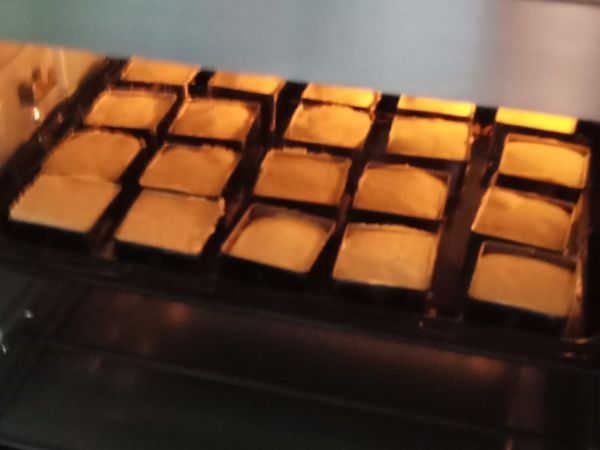 將包好的麵糰放入正方形模子壓好後，入烤箱烤：要先預熱20分鐘，第一次20分鐘，第二次15分鐘，第三次5分鐘，看烤箱不一定溫度會是一樣的喔！我用的烤箱是國際牌的，所以溫度參考用¤