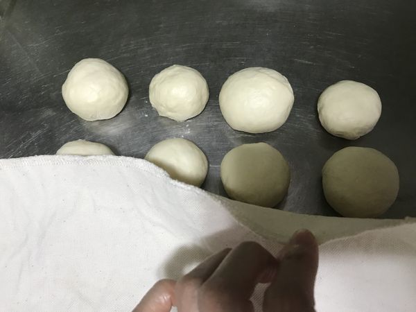 將這8個小麵糰揉圓、然後蓋發酵布或溼布、做靜置發酵15分。
