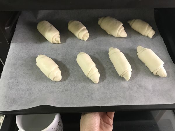 將捲好的麵糰放入烤箱做第二次發酵、放一杯熱水在烤箱裡幫助發酵。
ps發酵的溫度不能超過35度、要不然內餡的奶油會流光和融化。