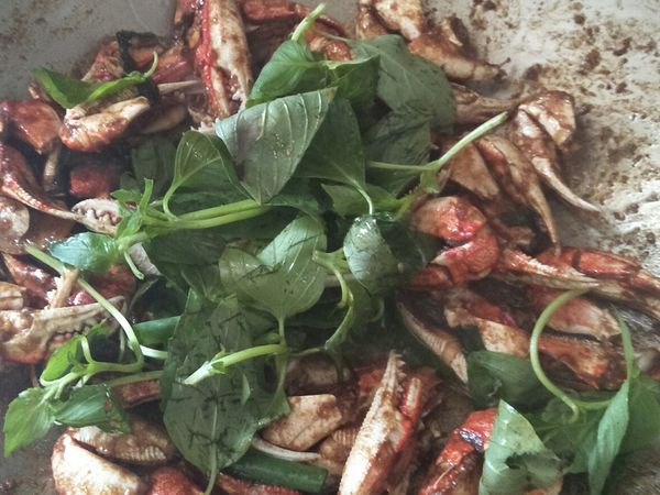 瓦斯中小火把蟹腳炒至醬汁收乾，放一把九層塔伴炒。