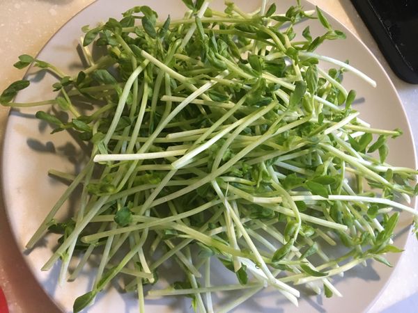 趁熱倒在豆苗上