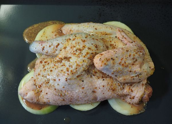 從冰箱取出雞肉，放在鋪好的洋蔥上