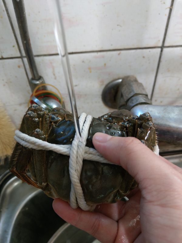 先用水把大閘蟹洗乾淨~~