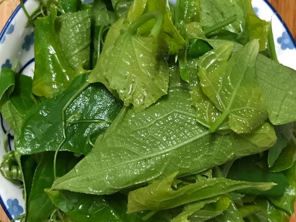 龍鬚菜取嫩葉洗淨❤️