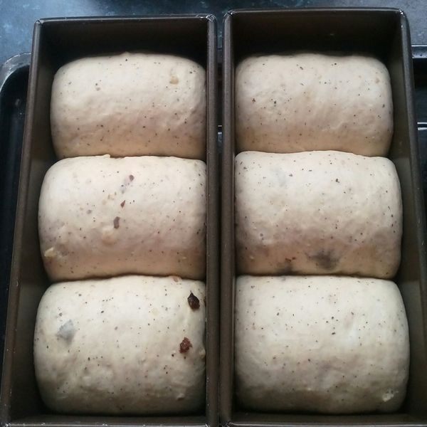 3糰併入吐司盒 ,入烤箱,烤箱內放杯熱水,進行二發至12兩吐司盒8分滿,約1小時