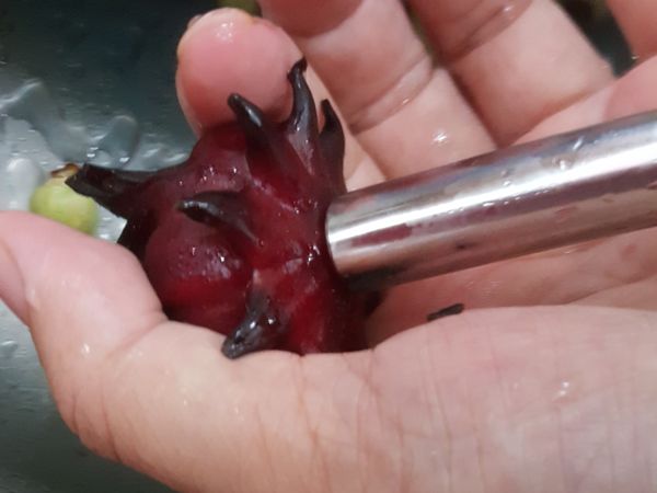 用珍珠吸管（不鏽鋼很更好因為不會軟掉）從洛神花尾部把籽搓出來