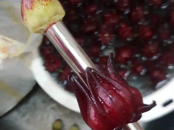 真珠吸管搓出籽籽，花瓣幾乎都是完整無缺